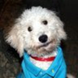 Meet your Posher, Todd